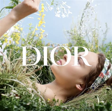 tcfd corespondent christian dior|christian dior sustainability news.